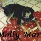Molly Marie Sandusky .2015